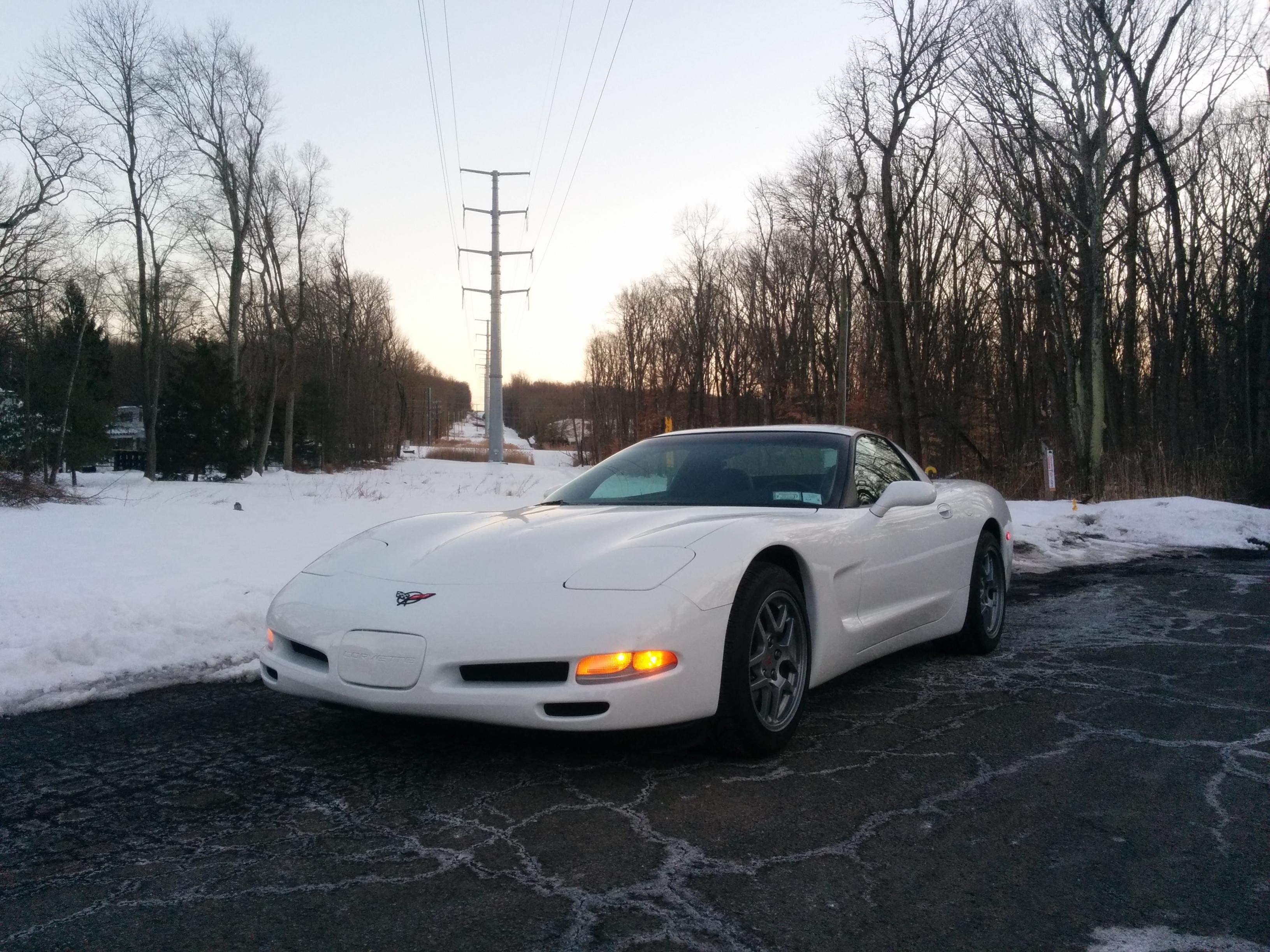 c5 corvette front license plate surround insert