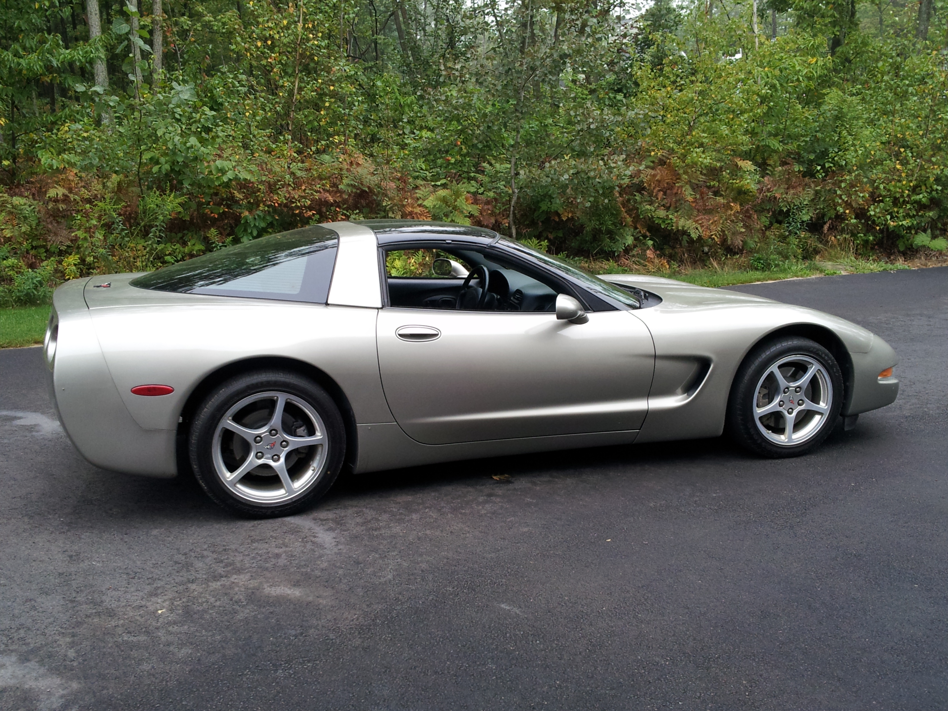 Let's see those Pewter C5's! - Page 2 - CorvetteForum - Chevrolet ...